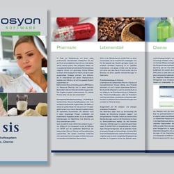 Flyer zur Software QUANSIS