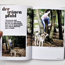 Magazin