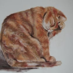 Putzende Katze