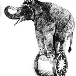 Illustration für die Veranstaltungsreihe „Off Beat Zirkus“