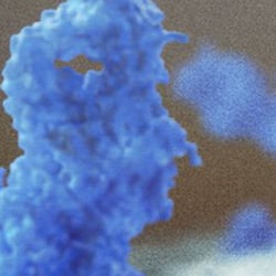 Ebola