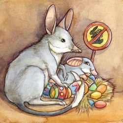 bilby