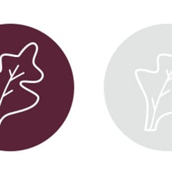 Smart Grow – color palette