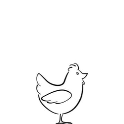 Huhn