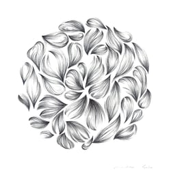 Flora.
