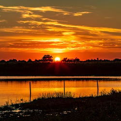 Sonnenuntergang in der Camargue