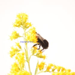 Nature 2014 Foto Übung