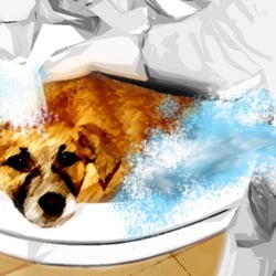 Photoshop: Welpe
