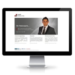 Website Caner Consulting