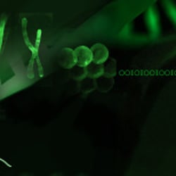 Tribut to «Matrix» hervorgehend aus dem Bildmaterial meiner Abschlussarbeit an der ZHdK. Sämtliche Modelle aus Wachs, Plastilin