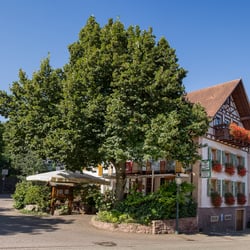 Gasthaus Linde Neusatz