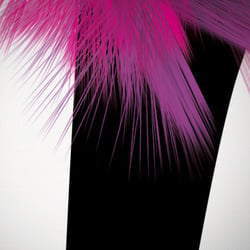 Pink Bird (Detail)