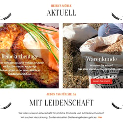 Webdesign Wordpress DIVI-Theme