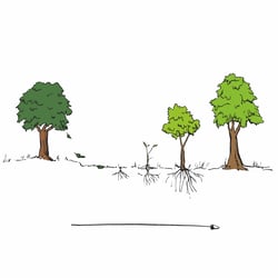 Trauerbuch / Leben