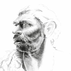 Homo Heidelbergensis, Bleistiftskizze