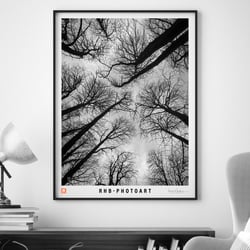 RHB-Photoart auch als Poster Print
