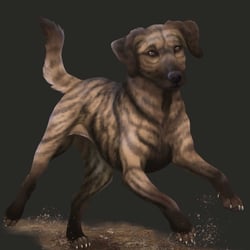 Bornländer