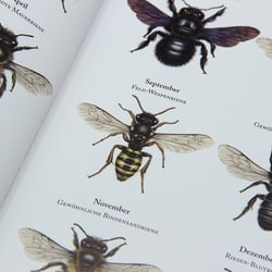 Bienenkalender 2023