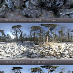 Spherical HDRI – Winter Forest