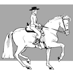 Spanischer Reiter