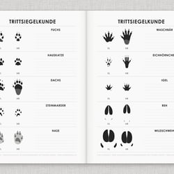 Arbeitsblatt zur Trittsiegelkunde