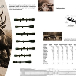 Layout 3