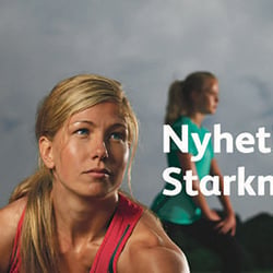 Skånemejerier