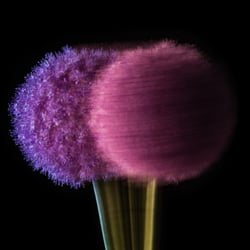 Allium