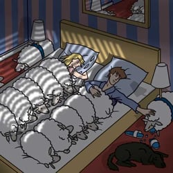 Schlafzimmer Schafe
