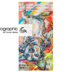 carographic by Carolyn Mielke