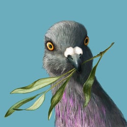 Peace Pigeon – Digitale Zeichnung