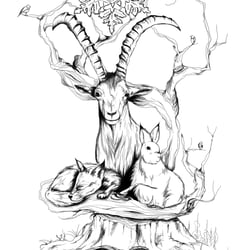 Tiere 1