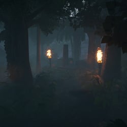 Amazonas_Forest_Shot_1