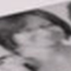 Serbske Nowiny