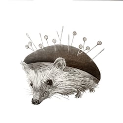 Igelkissen
