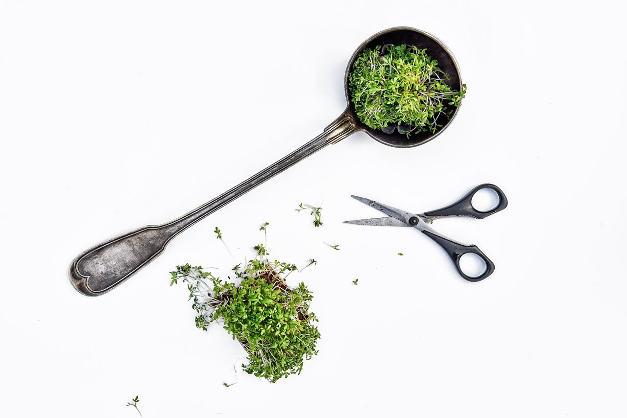 Foodfotografie