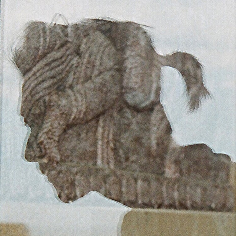 Nguyen Thanh Trung
