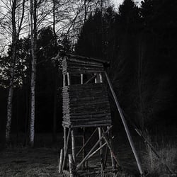 No3 hsitz