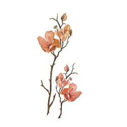Illustration Stil