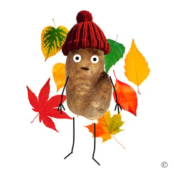 Kartoffel