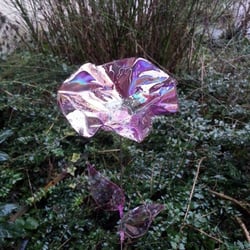 Flower DVD split outdoor