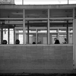 www.pictomanisch.de