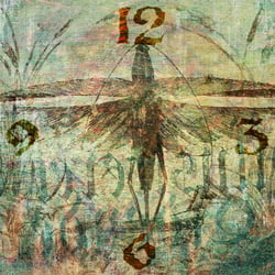 Wanduhren Motiv: Insect