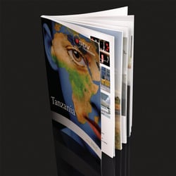 SDV – Bollore Logistics – Company Profile Design