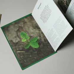 saatbau brandbook 04