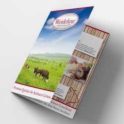 Printdesign Faltblatt
