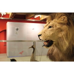 Ausstellung Lessing Museum in Kamenz