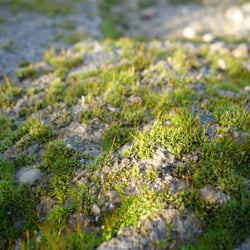 DSC05775