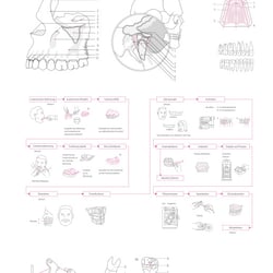 medizinische Illustrationen