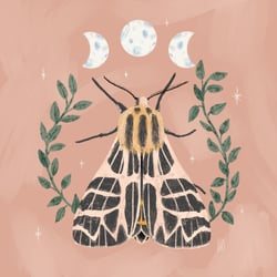Nachtfalter mit Mondphasen